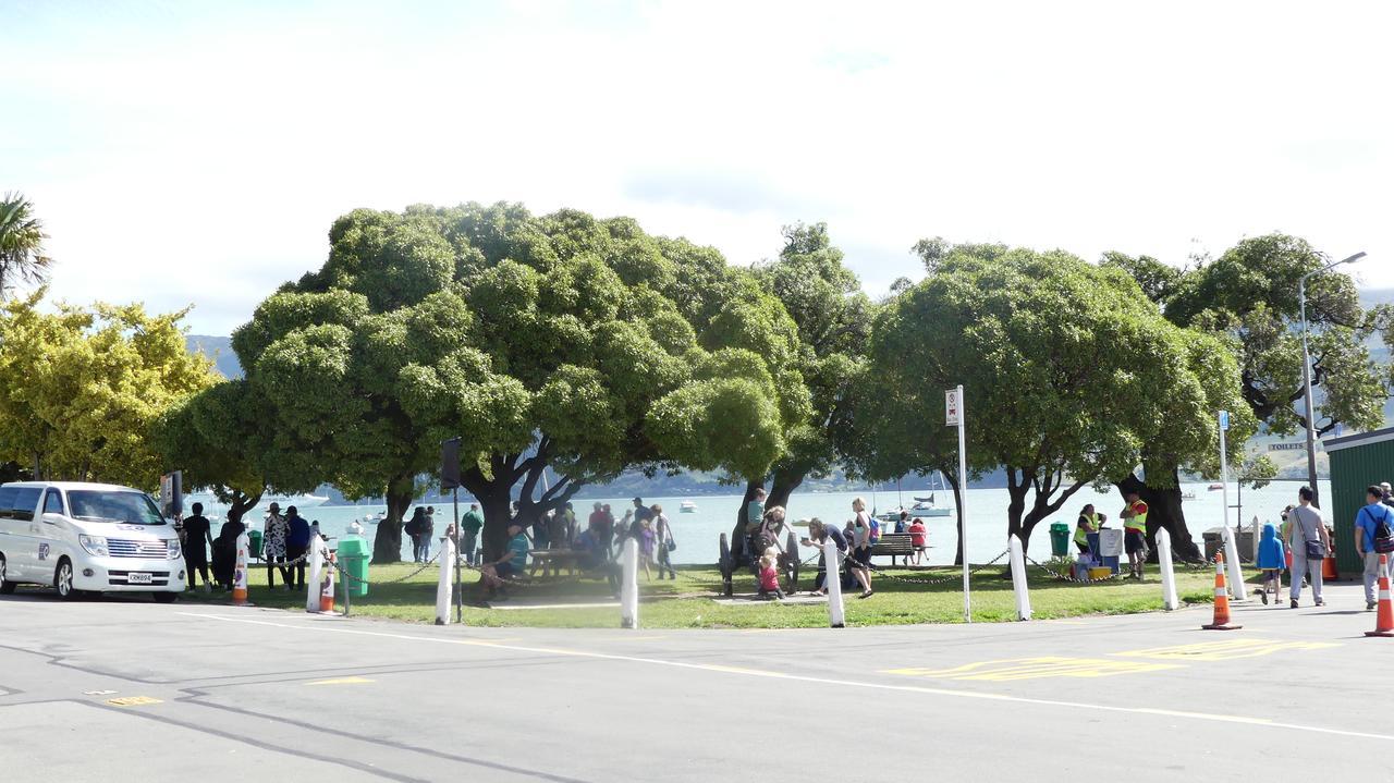 Vista * Akaroa